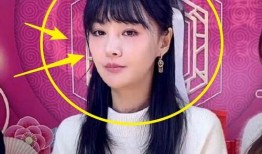 郑爽热巴最新爆料,揭秘娱乐圈背后的惊人真相